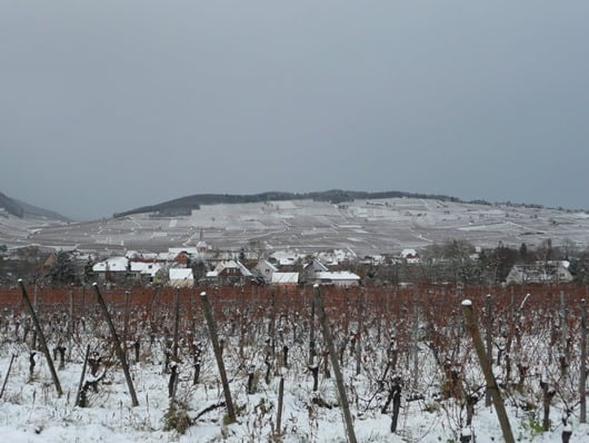 Alsace in Winter