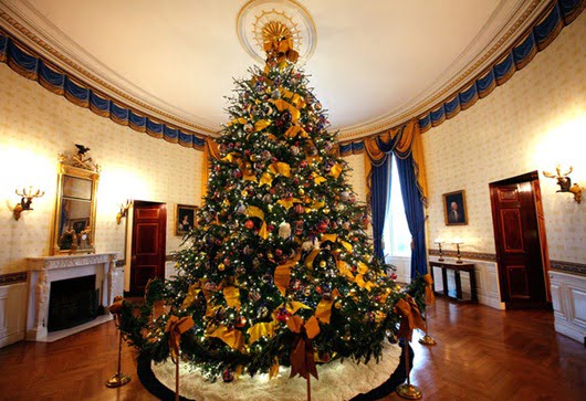 White House Chritmas Tree