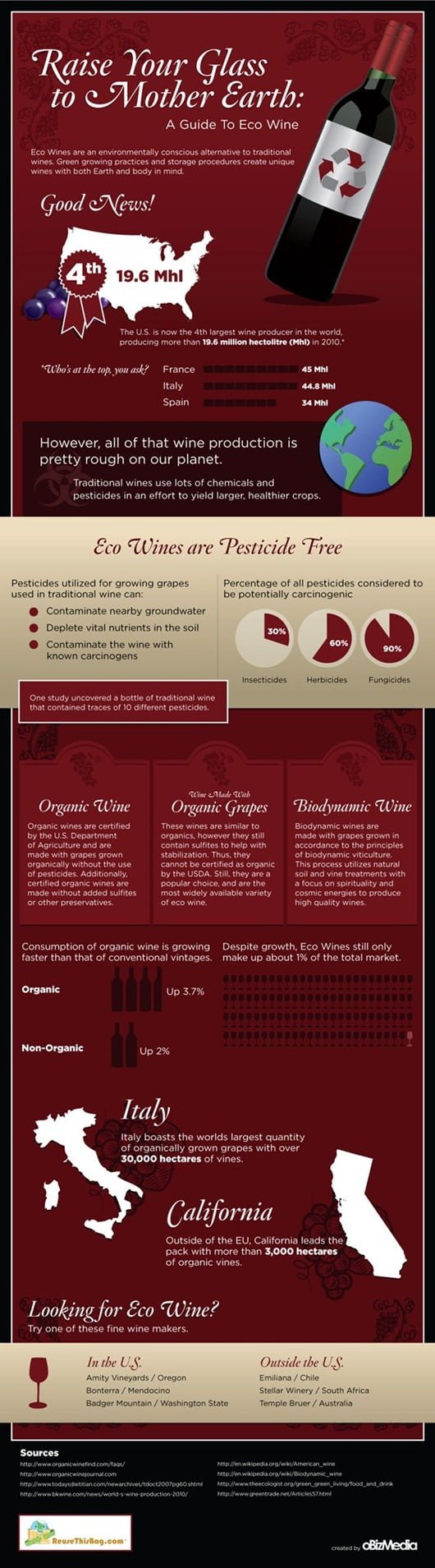 Infographic Guide to Eco-Wine