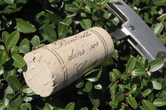 Chateau de la Dimerie Muscadet Sevre et Maine Cork