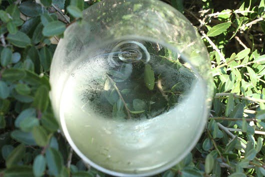 Chateau de la Dimerie Muscadet Sevre et Maine in the glass.