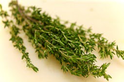 Thyme 