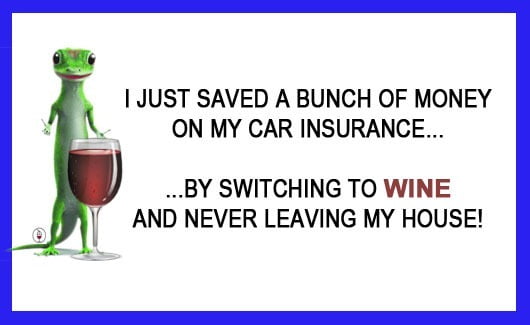 Geico-Gecko-Wine-Funny-Meme