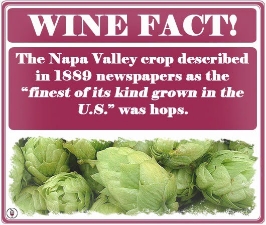 WINE-FACT-hops