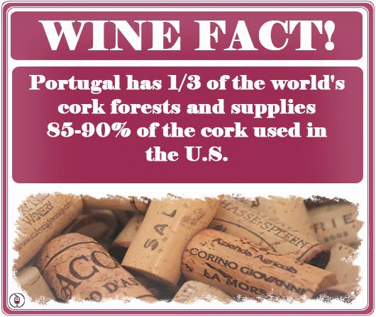 WINE FACT: Where do Corks Come From?