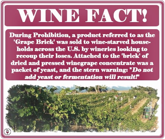 the-prohibition-wine-brick-fact