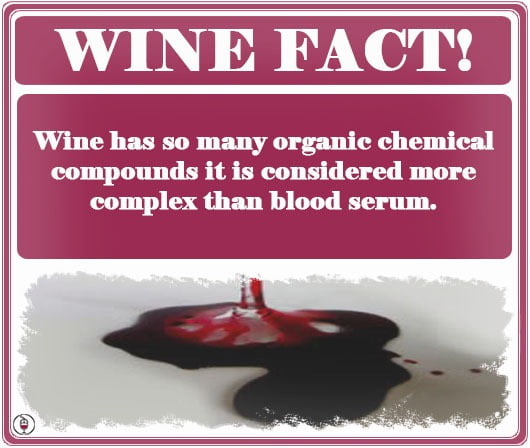 Wine vs. Blood.